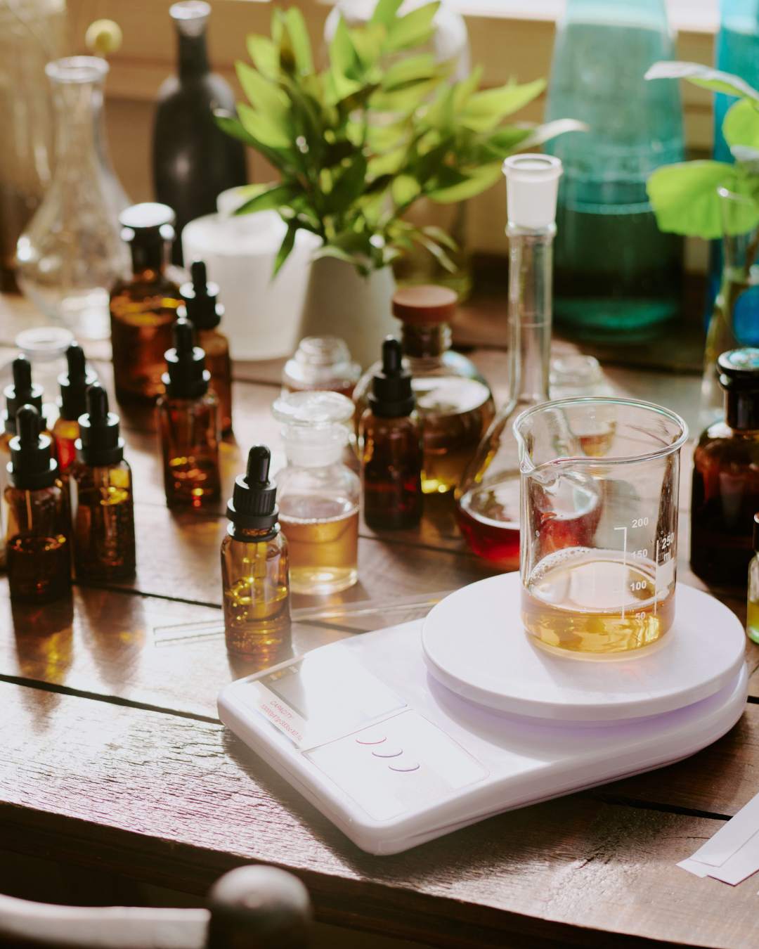 Perfume Ingredients